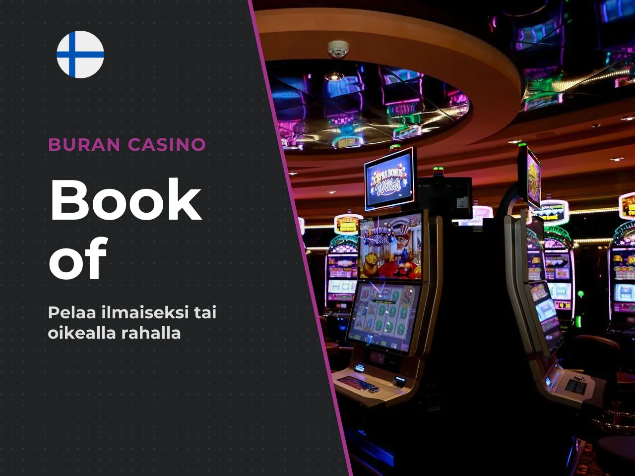 Pähkinänkuoressa Book of Dead 30 sekunnissa