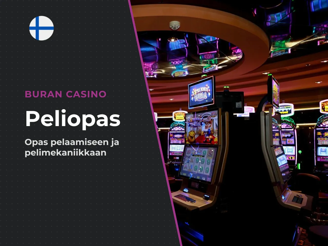 Miksi tämä peli kiinnostaa suomalaisia pelaajia